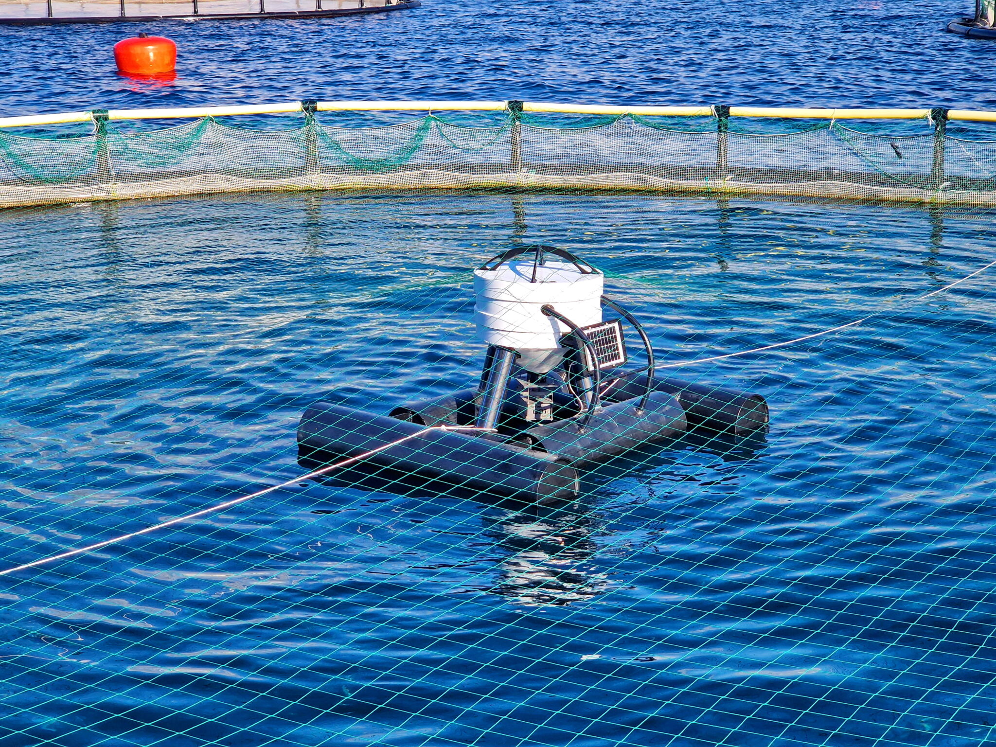 MariFeeder - Automatic Fish Feeder for Aquaculture